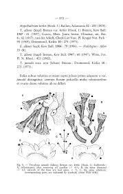 Image result for Tricalysia sp. E