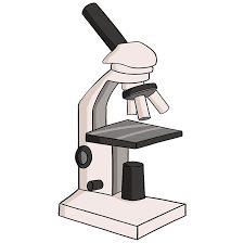 The compound microscope diagram quizlet. How To Draw A Microscope Really Easy Drawing Tutorial