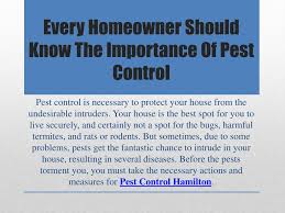 Maybe you would like to learn more about one of these? Ppt Every Homeowner Should Know The Importance Of Pest Control Powerpoint Presentation Id 7848924