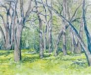 September Plein Air Watercolors at Ragle