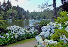 Resultado de imagem para primavera e o rio