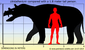 For faster navigation, this iframe is preloading the wikiwand page for embolotherium. Blogt Na Valentint Encyclopedia Largest Prehistoric Animals Vol 1 Vertebrates Part1 Mammals Ch 17 Brontoth