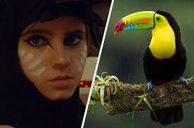 Feb 28, 2018 · with trivia leagues popping up in cities across the country, it's easy to get infected with questions and answers! Quiz Choose Some Pictures And We Ll Reveal What Kind Of Bird You Are