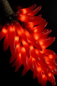 Chili Ristra Pepper Lights Stuffed Peppers Chili Pepper Lights Chili Lights