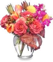 See more gift & specialty shops in rocky mount on tripadvisor. About Us Drummonds Florist Gifts Inc Rocky Mount Nc