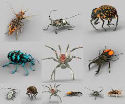 Insect Collection Vol 1 3d Model Insect Collection Insects 3d Model