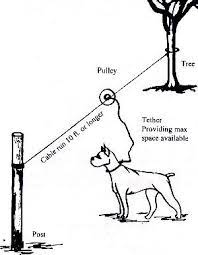 Dogs · 9 years ago. Unchain Your Dog Org Install A Dog Trolley Dog Run Dog Cable Dog Trolley Dog Camping Dog Zip Line