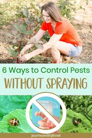 You'll notice that seed packages and catalog descriptions of some. Pest Control Without Pesticides For A Healthy Organic Garden The Beginner S Garden Organic Pest Control Organic Pest Garden Pest Control