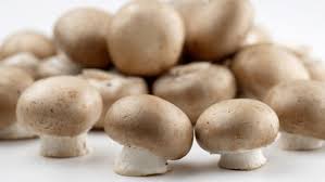 Ihr müsst mit eurer zucht also schon ein paar wochen vor der leckeren suppe oder dem nächsten grillabend beginnen. Zutat Champignons Ndr De Ratgeber Kochen