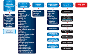 Padi Courses Las Americas Divers