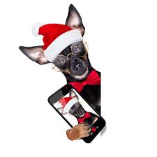 We did not find results for: Prague Ratter Dog Christmas Selfie Santa Claus Animals Flora Fauna Indivstock
