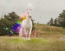 706,548 likes · 188 talking about this. Licorne Gifs Tenor