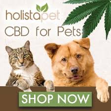 Because they don't have the ability to prescribe these products for. Cbd Oil For Dog Cats With Aggression Buydogfleameds January 2021
