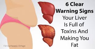 The Liver Is One Of The Most Important Organs In Your Body Which Responsibility Is To Transforms Toxins Into Waste This Waste Liver Health Health Liver Detox