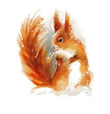 Squirrel Watercolor Archival Print Of Watercolor Painting Etsy In 2021 Paintings Art Prints Watercolor Art Prints Painting Illustration