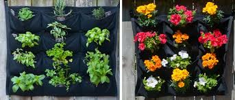 Our designs are constantly changing as are the seasonal blooms. Wall Garden Palmers Garden Centre