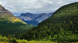 We did not find results for: Wallpaper Alps Nature Mountains Forest 1920x1080
