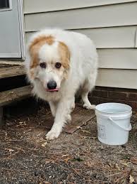 There is no electricity in Mechanicsville, Rural Point..