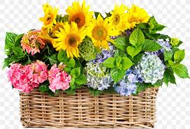 Check spelling or type a new query. Flower Bouquet Stock Photography Royalty Free Clip Art Png 1200x818px Flower Annual Plant Artificial Flower Basket