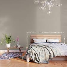 Jun 03, 2021 · accessible beige and shiitake are located on paint color strips that are right next to each other on the sherwin william's paint deck. Sherwin Williams Trending Colors Of 2019 Shiitake Light Beige Brown Sw 9173 Solid Color Wallpaper By Simply Solids Solid Colors Single Shades Society6
