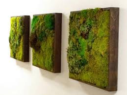 These simple and affordable wall ideas will make a great impression and improve your home decor in your bedroom, living room, guest room or entryway. 10 Plants Wall Decor Ideas For Your Home My Tasteful Space