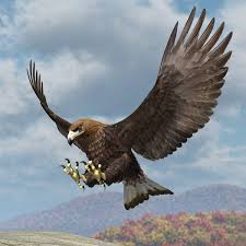 3d Model Golden Eagle In 2020 Bald Eagle Golden Eagle Golden Eagle Flying