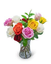 Check spelling or type a new query. Rainbow Roses In Dansville Ny Dogwood Floral Company