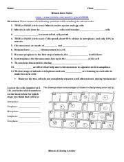 Some of the worksheets displayed are answer key for meiosis work, meiosis matching work, meiosis and mitosis answers work, biology 1 work i selected answers, chapter 13 meiosis and sexual life cycles, meiosiswork 2, meiosis, 013368718x ch11 159 178. Amoeba Sisters Mitosis Name Class Mitosis Intro Video Https Www Youtube Com Watch V F Ldpgefahi Directions Please Answer The Following Questions Course Hero