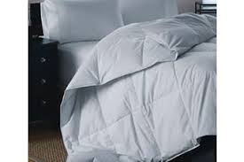 We did not find results for: Mulberry Silk Duvet Costco Kogan Com
