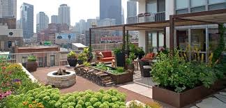 Brb Going To Get My Salad From The Roof Roof Garden Design Rooftop Garden Apartment Garden