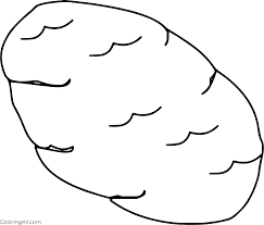 Download printable potatoes coloring pages to print for free. Simple Potato Coloring Page Coloringall