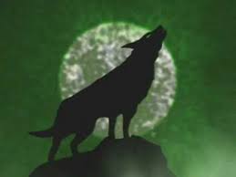Wolf spent eight more seasons in the bundesliga as a coach with vfl wolfsburg, 1. Vfl Wolfsburg Intro Youtube