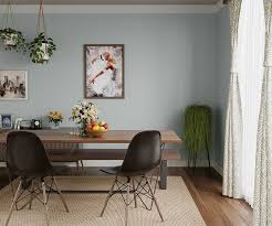 Annabelle selldorf farrow & ball's pavilion grey is a good color when it comes to holding a balance between warm and cooler gray tones. Try Winter Sky House Paint Colour Shades For Walls Asian Paints