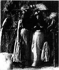 Image result for Beau Brummel Brown 1931 Oldsmobile