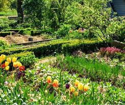 permaculture gardens are self sustaining sustainability permaculture gardening ecofriendly permaculture jardins cultiver son jardin