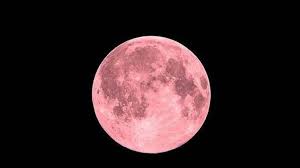 Stream tracks and playlists from luna rosa on your desktop or mobile device. C8x4il7760en8m