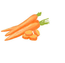 The best charcoal pencil drawing tutorial of a carrot. How To Draw A Carrot For Kids Easy Step By Step Pencil Carrot Drawing Cute With Color