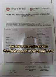 Cambridge a levels, o levels, igsce (equiv to o levels). Singapore Gce O Level How To Pass The Examination Fastdiplomaonline Com