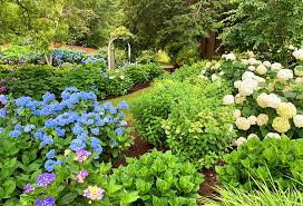 Our nurseries and garden centers have the areas largest selection of plants, flowers, shrubs, annuals, perennials, and patio furniture. 10 Outstanding Mail Order Nurseries For 2021 Enchanted Gardens