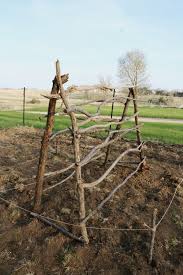 3 sizes available ( 30.5x36, 30.5x47, 30.5x57) sizes are approximate handmade in the usa using western red cedar and galvanized steel wire. Diy Pioneer Garden Trellis Ideas Under A Tin Roof