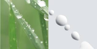 Et pour vous le prouver, elle n'hésite pas à vous à vous faire gagner de somptueux lots avec son grand jeu le meilleur pâtissier. Elle Vire Savencia Fromage Dairy