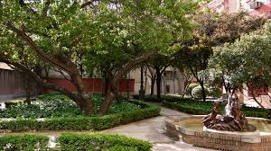 66 ziyaretçi el jardin del convento ziyaretçisinden 20 fotoğraf ve 2 tavsiye gör. Huerto De Las Monjas Wikipedia La Enciclopedia Libre