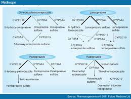 Update On The Pharmacogenomics Of Proton Pump Inhibitors