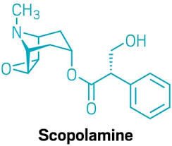 Image result for Scopolamine