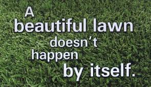 The Grass Is Always Greener On The Other Side Of The Fence They Say That The Grass Is Always Greener On The Other Side Of The Fence If That Is True Of You These Simple Tips Will H Lawn Care Lawn Care Tips