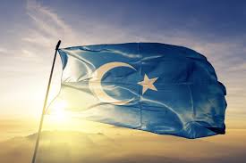 Ay yıldız doğu türkistan bayrağı Dogu Turkistan Meselesi Ve Ceza Kamplari