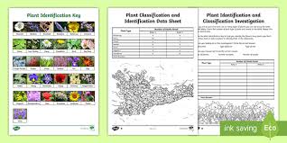 Ks2 Plant Classification And Identification Science Investigation