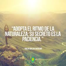 Pin De Micaela Mainz En Frases Sobre La Naturaleza Frases Naturaleza Frases Ecologicas Frases De Pintores