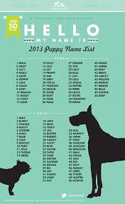 Page Not Found Find Dog Friendly Travel Hotels Dog Parks Dog Sitters And More With Dog Nombres De Perro Hembra Nombres De Perros Nombres Para Perro Hembra