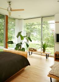 Create Your Own Shangri La With Bird Of Paradise Plants Adding a bird cage into the decor mix of a room is like adding the bohemian vibe, the victorian feel, or steampunk touch. shangri la with bird of paradise plants